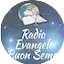 Logo Radio Evangelo Buon Seme