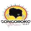Logo Gongoroko Stereo