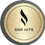 Logo SNR Hits