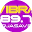 Logo Vibra Radio FM