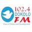 Logo Dokolo FM 102.4