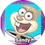 Logo Sandys-musikwelt