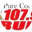Logo The Bull