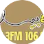 Logo Radio Arabesk