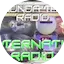Logo Downunda Thunda Radio-Alternative