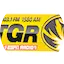 Logo The Tiger