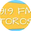 Logo FM Toros