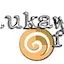 Logo Raukawa FM