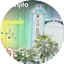Logo Ecos de Naranjito