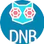 Logo Sky Plus DNB