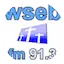 Logo WSEB 91.3 FM