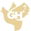 LITT Live - GH3