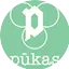 Radijo stotis Pūkas