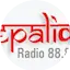 Logo Nepaliko Radio