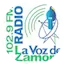 La Voz de Zamora