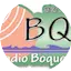 Logo Boquerón