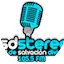 Logo RSD STEREO