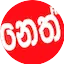 Logo NETH FM
