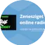 Logo Zenesziget online radio
