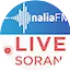 Logo NRT TV - Nalia FM