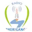 Logo Radio Bheriganga
