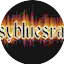 Logo BusybluesRadio