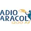 Logo Radio Caracol