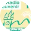 Logo Radio Souvenir1