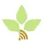 Logo New Life Radio