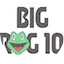 Logo The Big Frog 104