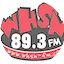 Logo WHSN 89.3 FM