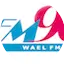 Logo FM 96