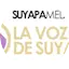 Logo la Voz de Suyapa 910