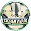 Logo Stereo Ayapa