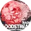 Logo Radio Bloodstream