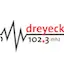 Logo Radio Dreyeckland FM
