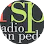 Logo Radio San Pedro
