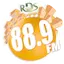 Logo RDS Radio 88.9 FM