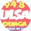 Logo Radio Pulsar