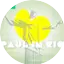 Logo PAUL IN RIO RADIO