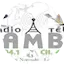 Logo Radio Lambi