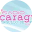 Logo Radio Nicaragua