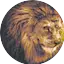 Logo Solace Radio