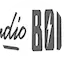 Logo Radio Boise