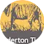 Logo Anderton Tiger Radio