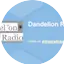 Logo Dandelion Radio