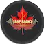 Logo Leaf Radio