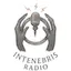 Logo Intenebris Radio