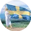 Logo Sverigekanalen Dala 9