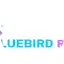 Bluebird Radio Oldies
